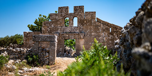 دبي - حلب
