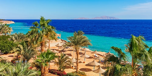 Amman - Sharm El Sheikh
